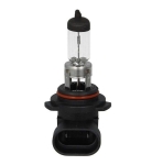 Комплект от 2 бр. Бели Халогенни Крушки HB4 ХБ4 55W Бяла светлина 12V 55W